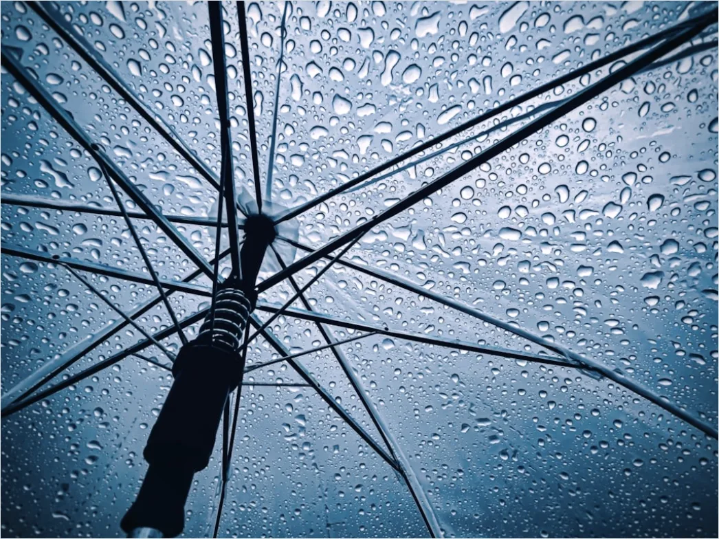 Detail Raindrops On Umbrella Macro Close Up Number 8