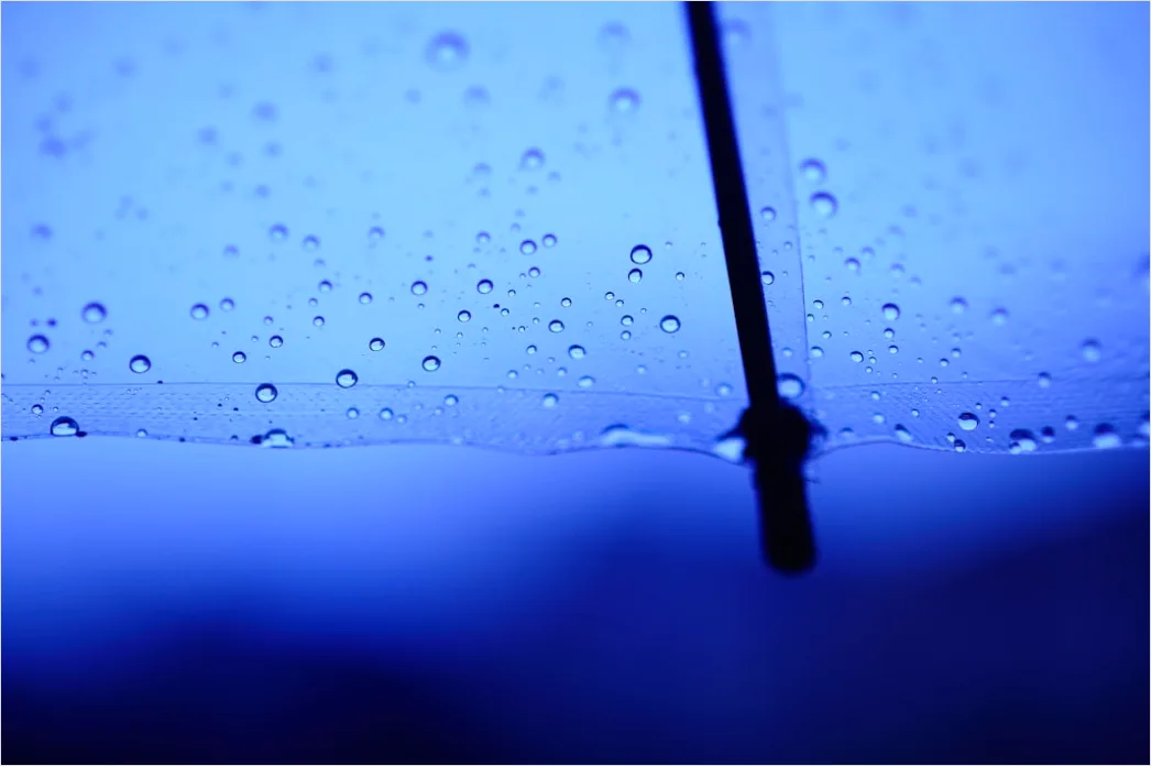 Detail Raindrops On Umbrella Macro Close Up Number 9