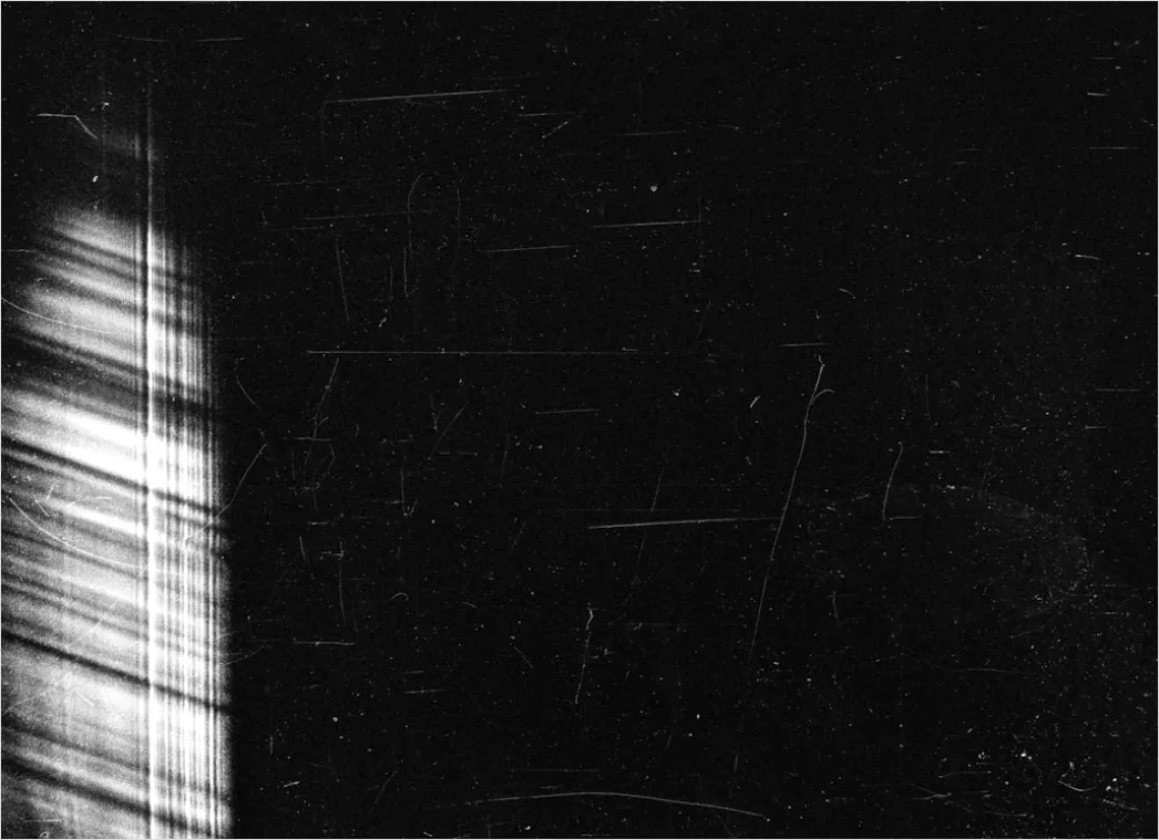 Detail Retro Film Grain Overlay Number 12