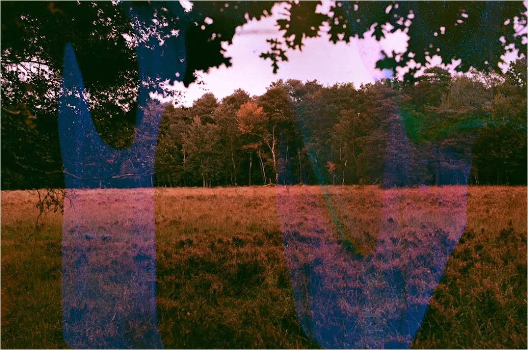 Detail Retro Film Grain Overlay Number 19