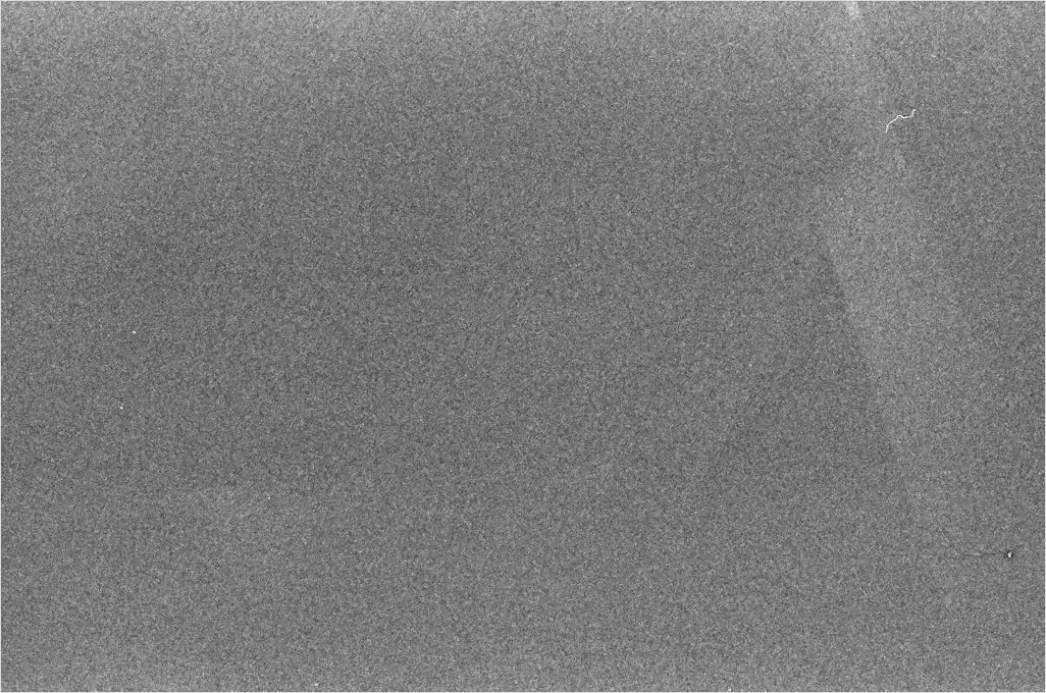 Detail Retro Film Grain Overlay Number 4