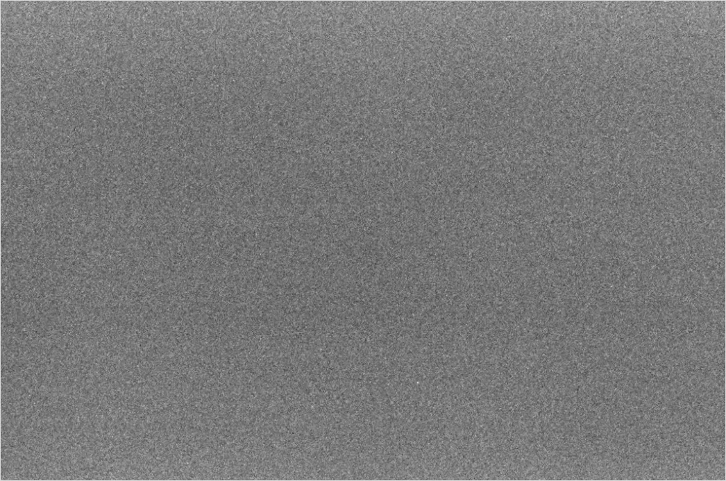 Detail Retro Film Grain Overlay Number 5