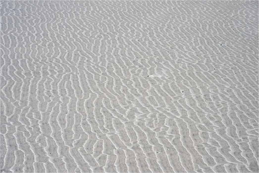 Detail Snow Drift Patterns Windblown Texture Number 17