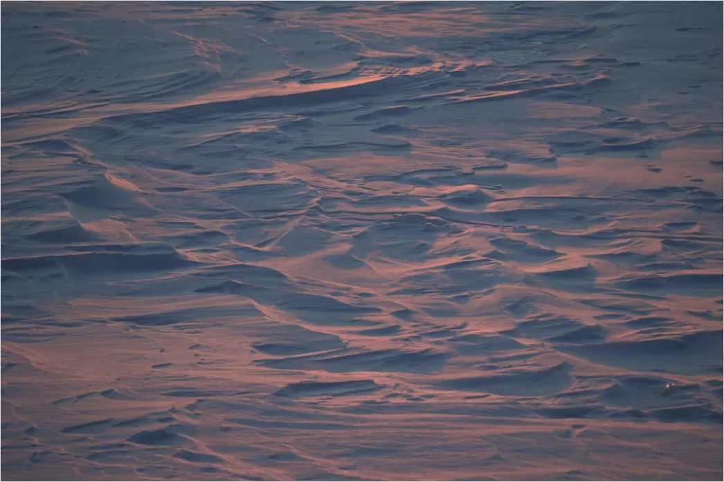 Detail Snow Drift Patterns Windblown Texture Number 20