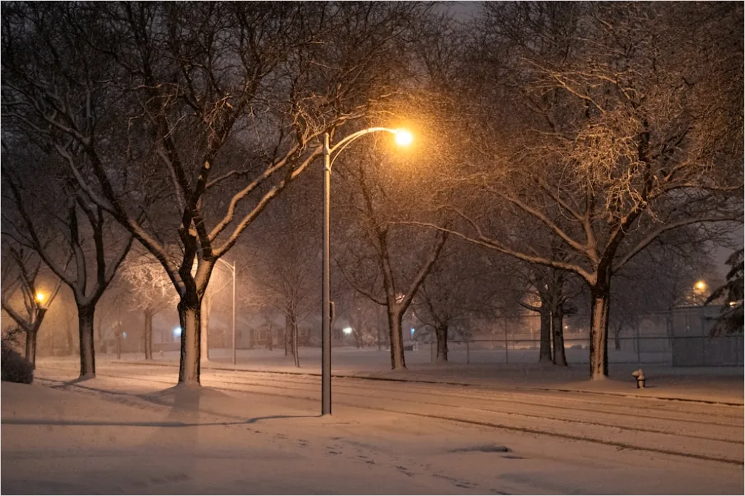 Snow Falling At Night Streetlights F0f7