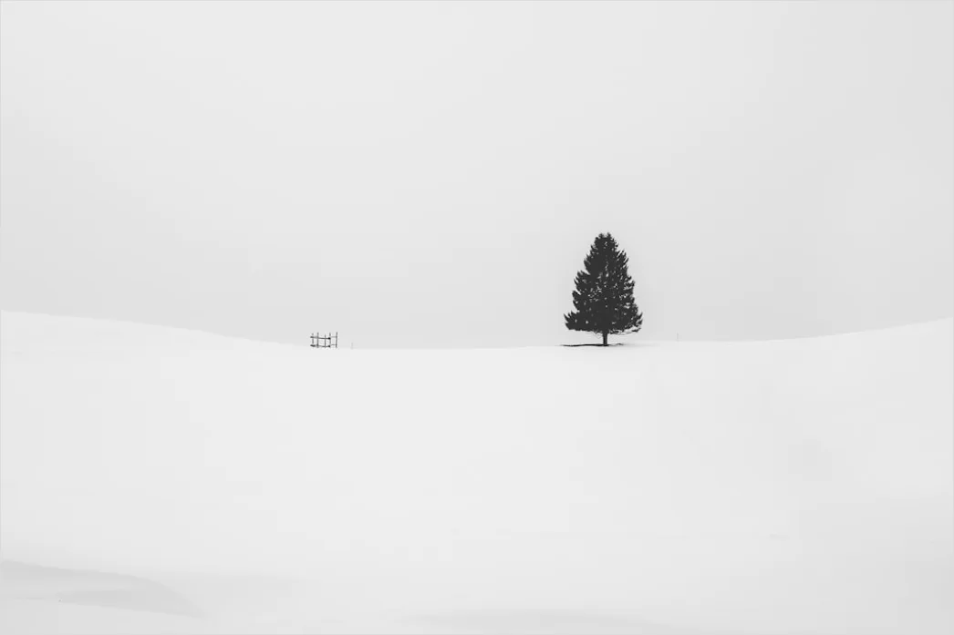 Snowy Day Aesthetic Soft Minimal 2a65