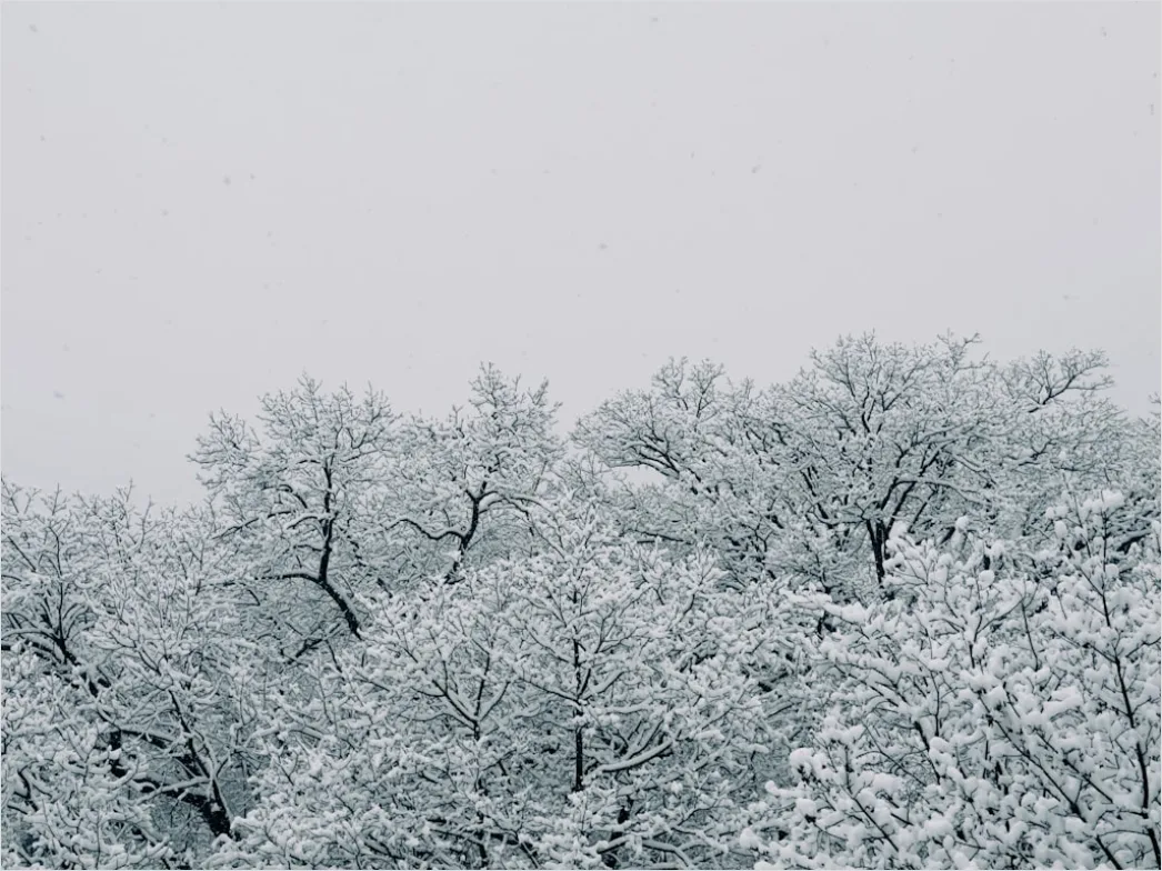 Detail Snowy Day Aesthetic Soft Minimal Number 11