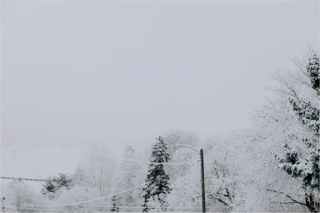 Detail Snowy Day Aesthetic Soft Minimal Number 12
