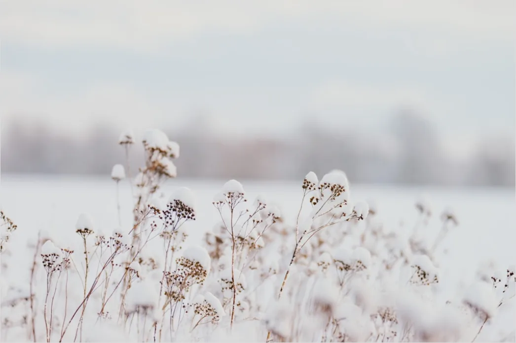 Detail Snowy Day Aesthetic Soft Minimal Number 14