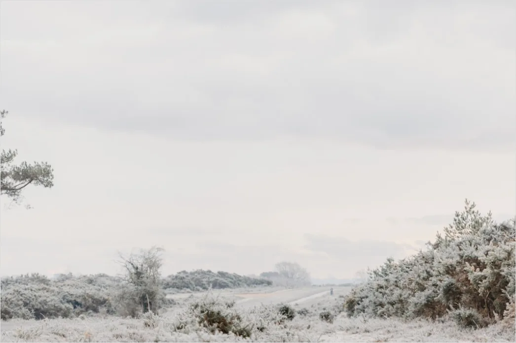 Detail Snowy Day Aesthetic Soft Minimal Number 15