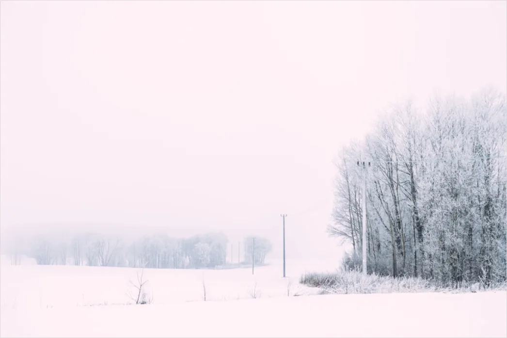 Detail Snowy Day Aesthetic Soft Minimal Number 16