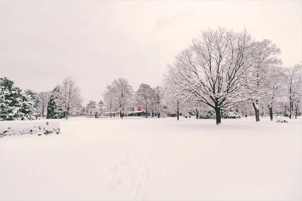 Detail Snowy Day Aesthetic Soft Minimal Number 18
