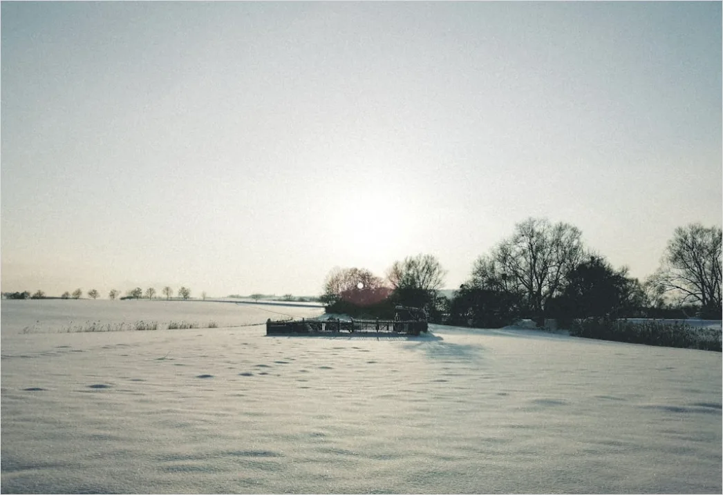 Detail Snowy Day Aesthetic Soft Minimal Number 19