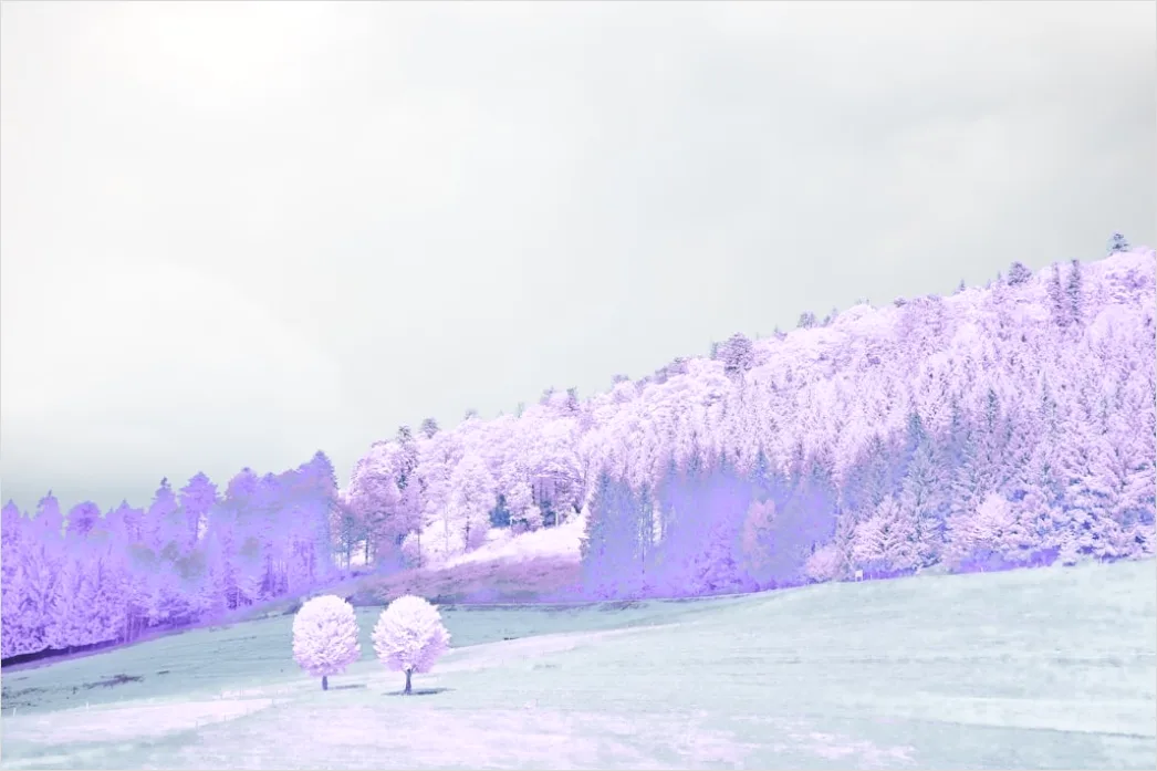 Detail Snowy Day Aesthetic Soft Minimal Number 20