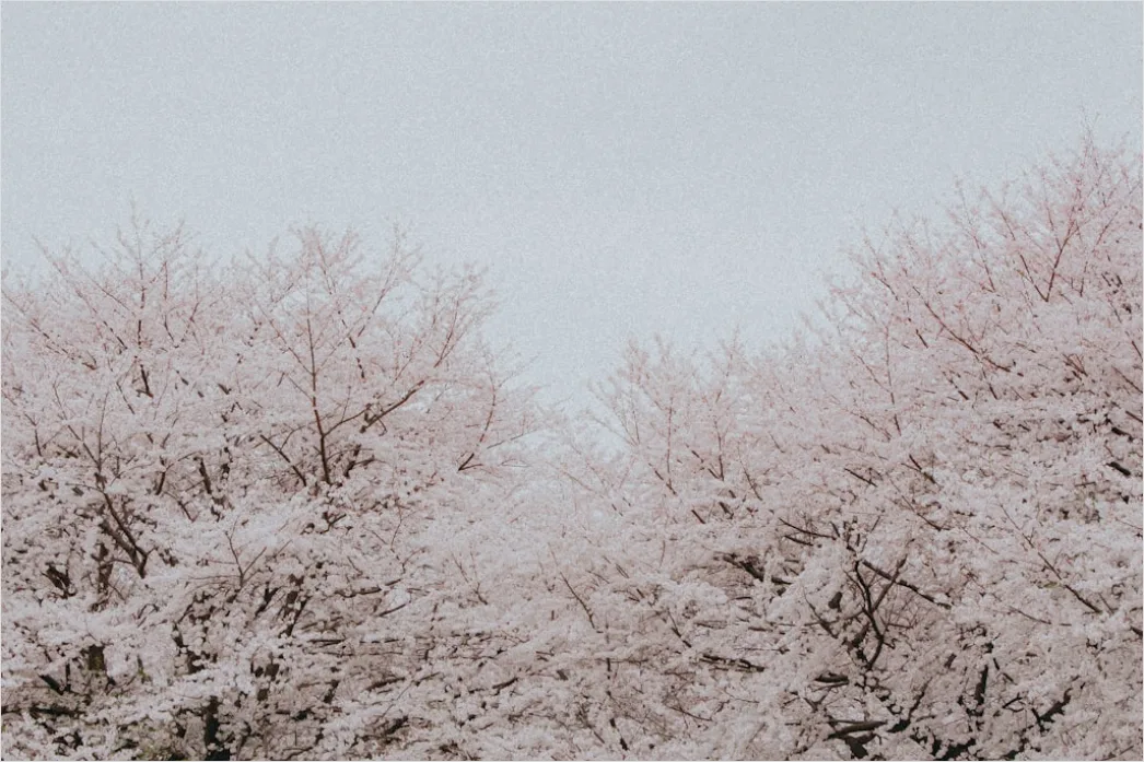 Detail Snowy Day Aesthetic Soft Minimal Number 3