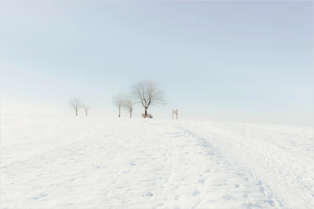 Detail Snowy Day Aesthetic Soft Minimal Number 4