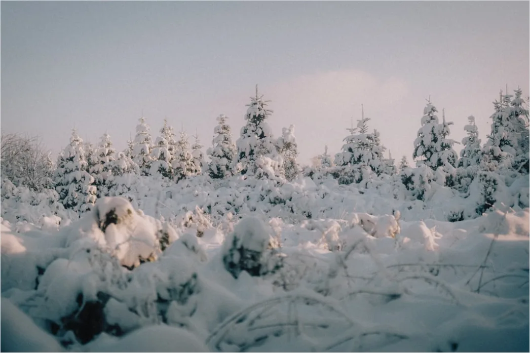 Detail Snowy Day Aesthetic Soft Minimal Number 6