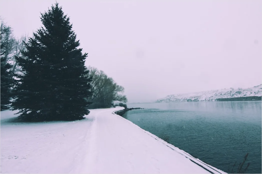Detail Snowy Day Aesthetic Soft Minimal Number 9