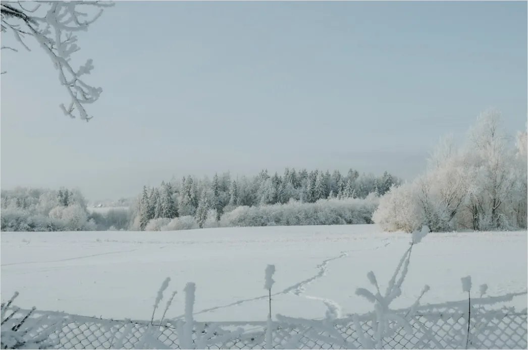 Detail Snowy Day Aesthetic Soft Minimal Number 10