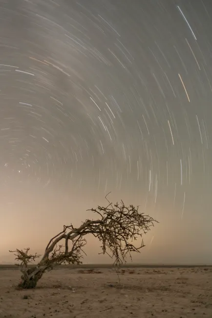 Detail Star Trails Desert Campsite Night Number 9
