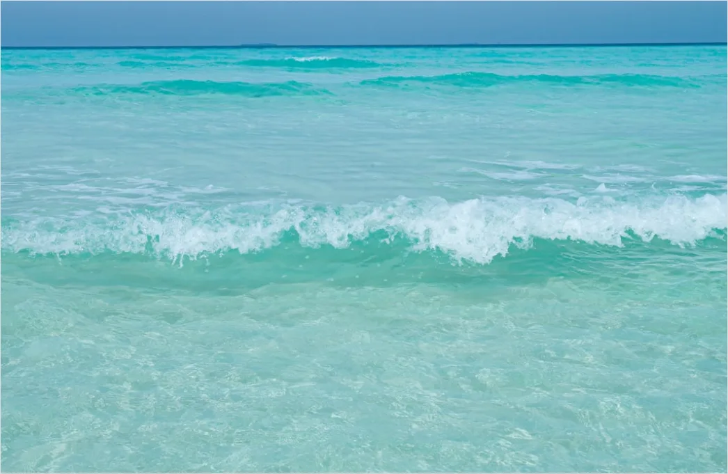 Detail Strong Wind Ocean Waves Whitecaps Number 19