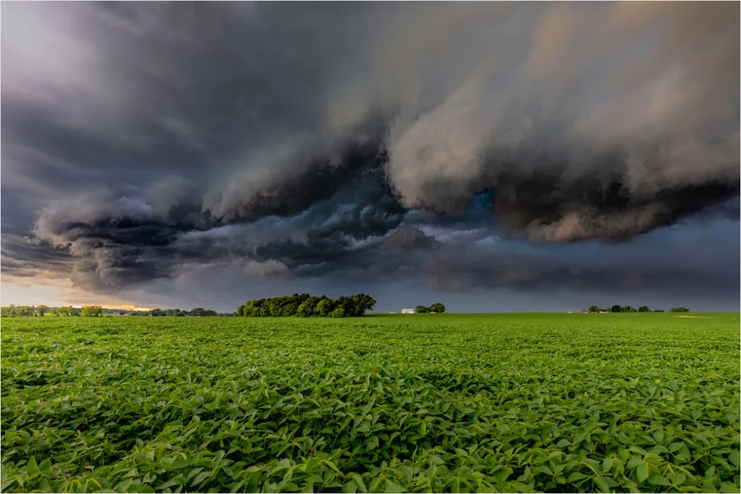 Detail Summer Thunderstorm Dramatic Sky Field Number 2