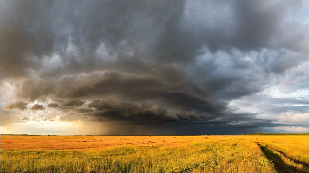 Detail Summer Thunderstorm Dramatic Sky Field Number 18