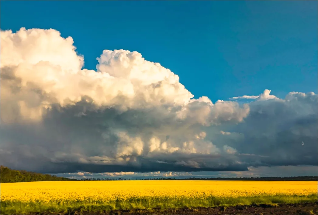 Detail Summer Thunderstorm Dramatic Sky Field Number 19