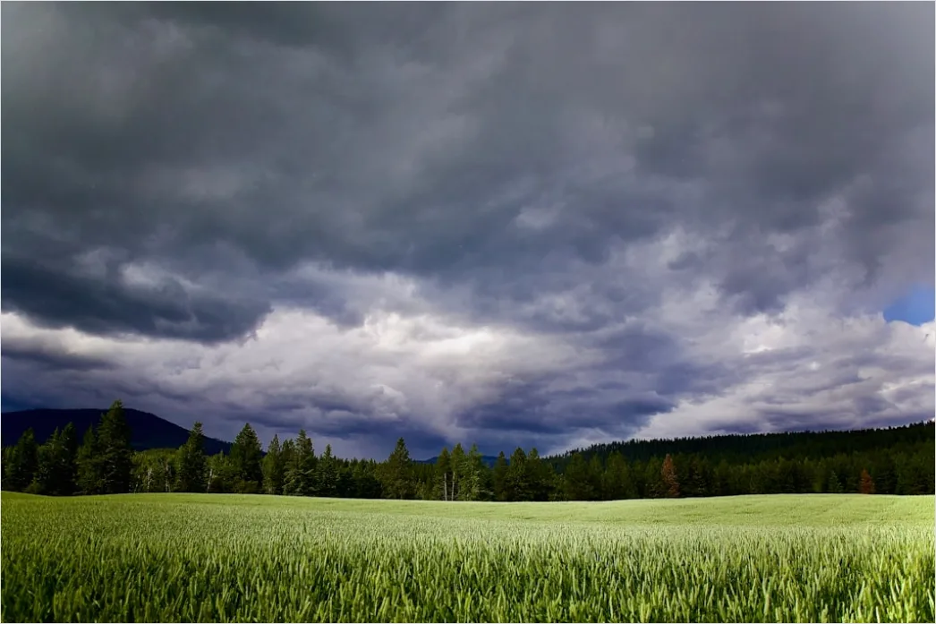 Detail Summer Thunderstorm Dramatic Sky Field Number 20
