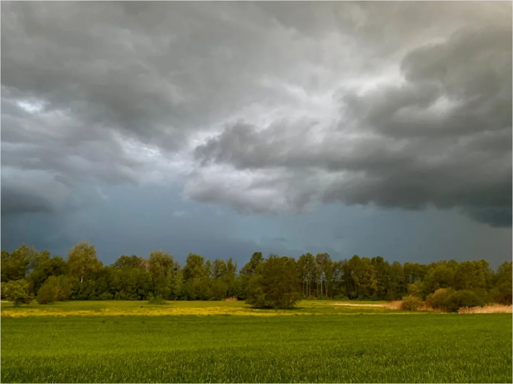 Detail Summer Thunderstorm Dramatic Sky Field Number 5