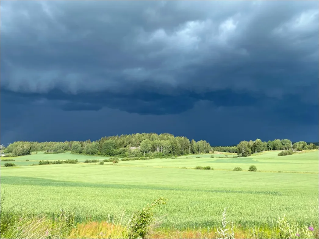 Detail Summer Thunderstorm Dramatic Sky Field Number 7
