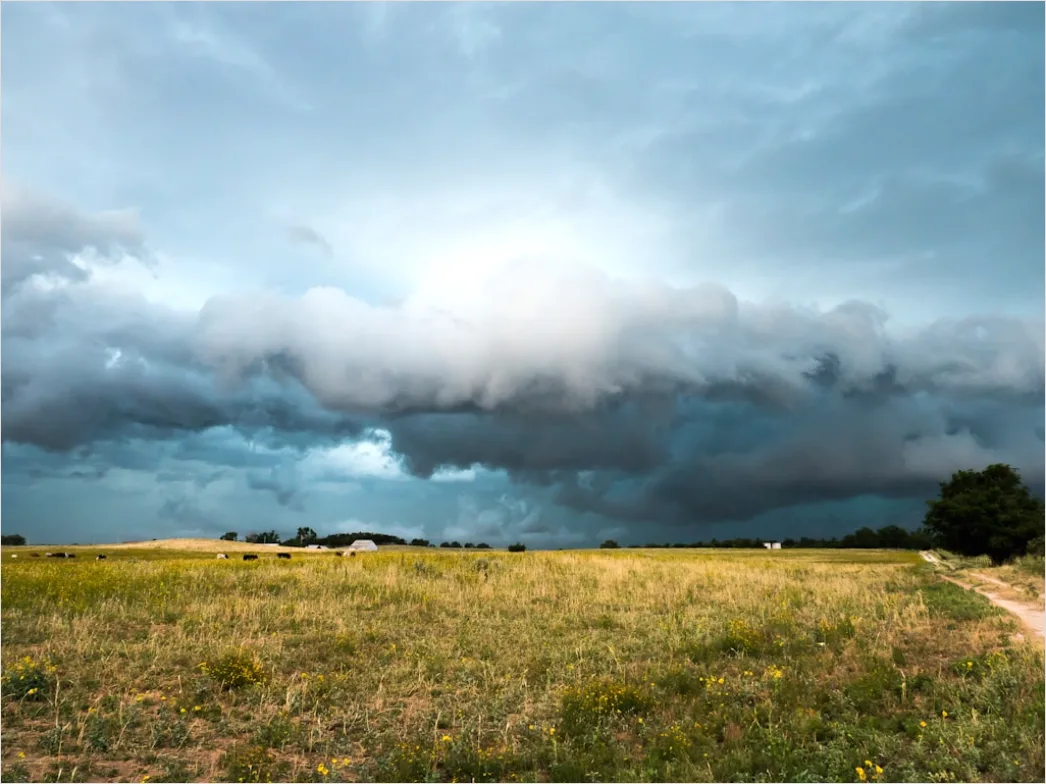 Detail Summer Thunderstorm Dramatic Sky Field Number 8
