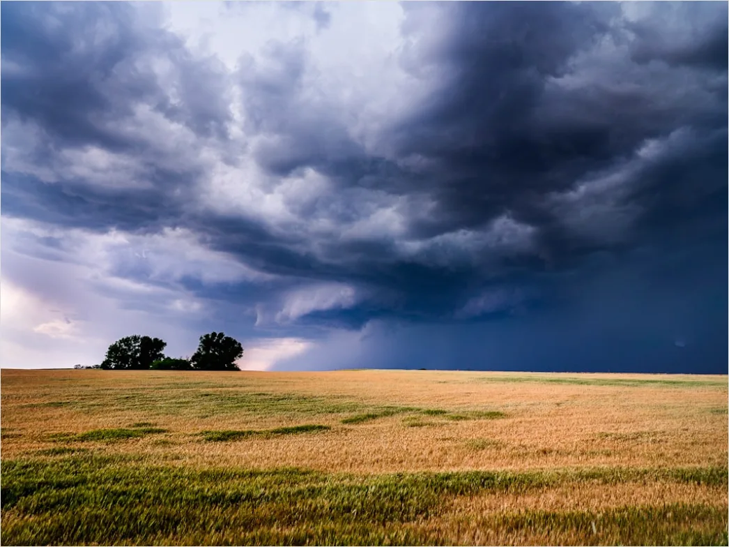 Detail Summer Thunderstorm Dramatic Sky Field Number 9