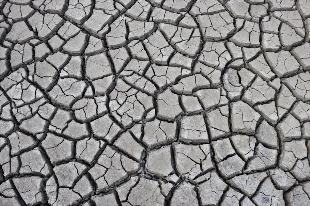 Detail Sun Baked Cracked Earth Drought Number 11