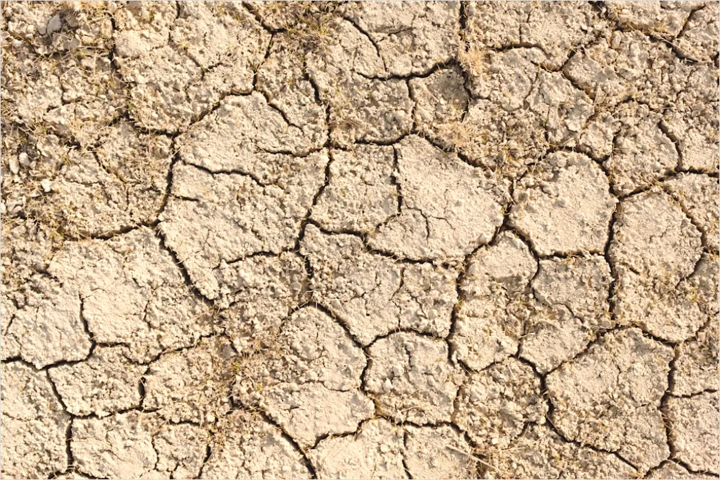 Detail Sun Baked Cracked Earth Drought Number 12