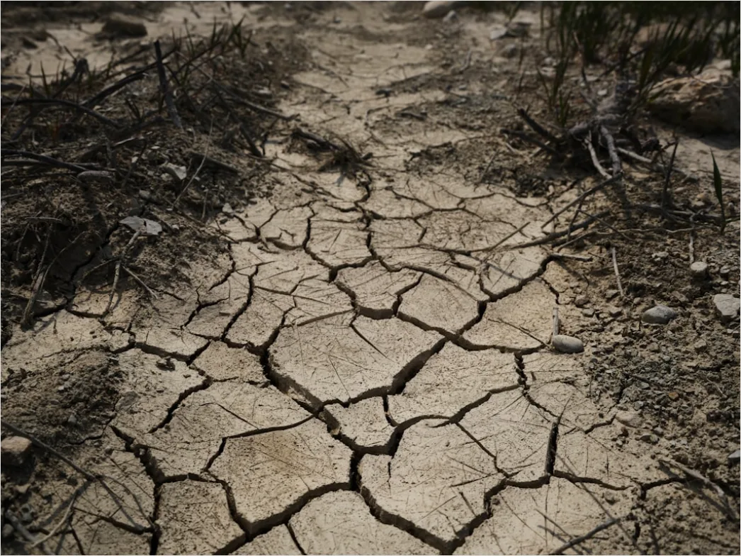 Detail Sun Baked Cracked Earth Drought Number 13
