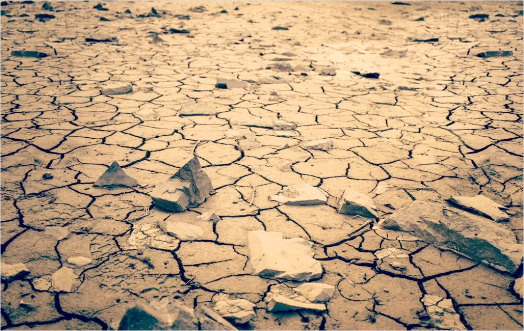 Detail Sun Baked Cracked Earth Drought Number 14