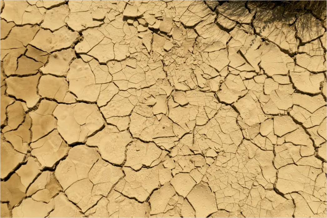 Detail Sun Baked Cracked Earth Drought Number 15