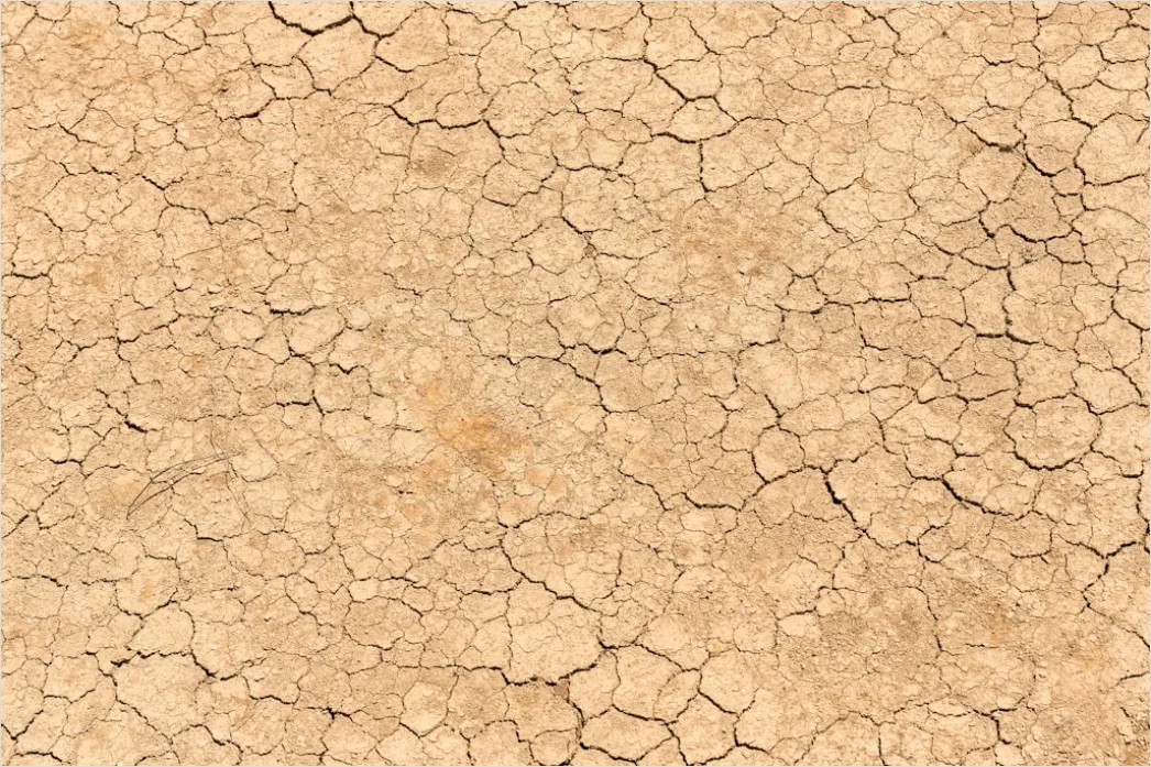 Detail Sun Baked Cracked Earth Drought Number 18