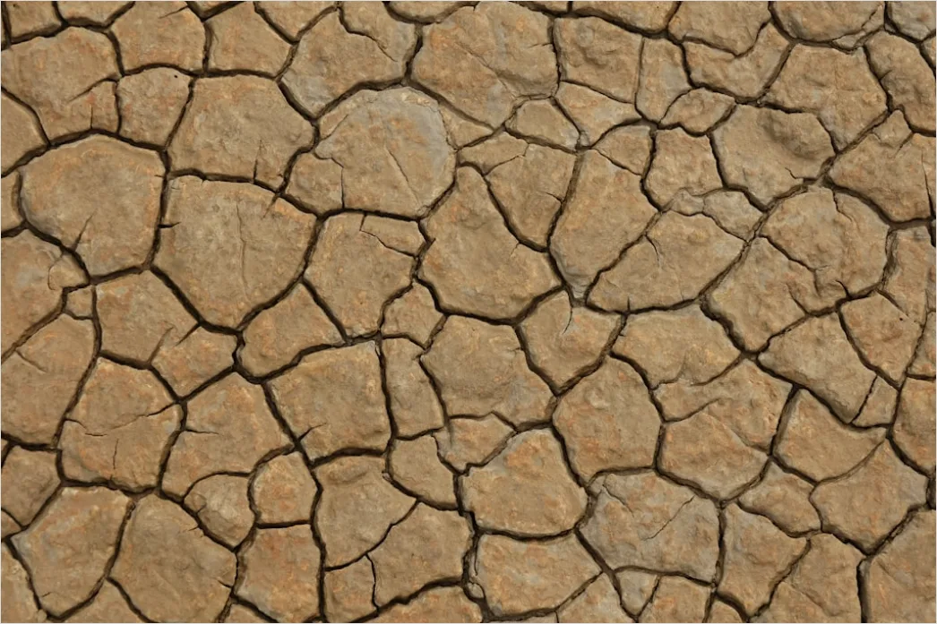 Detail Sun Baked Cracked Earth Drought Number 19