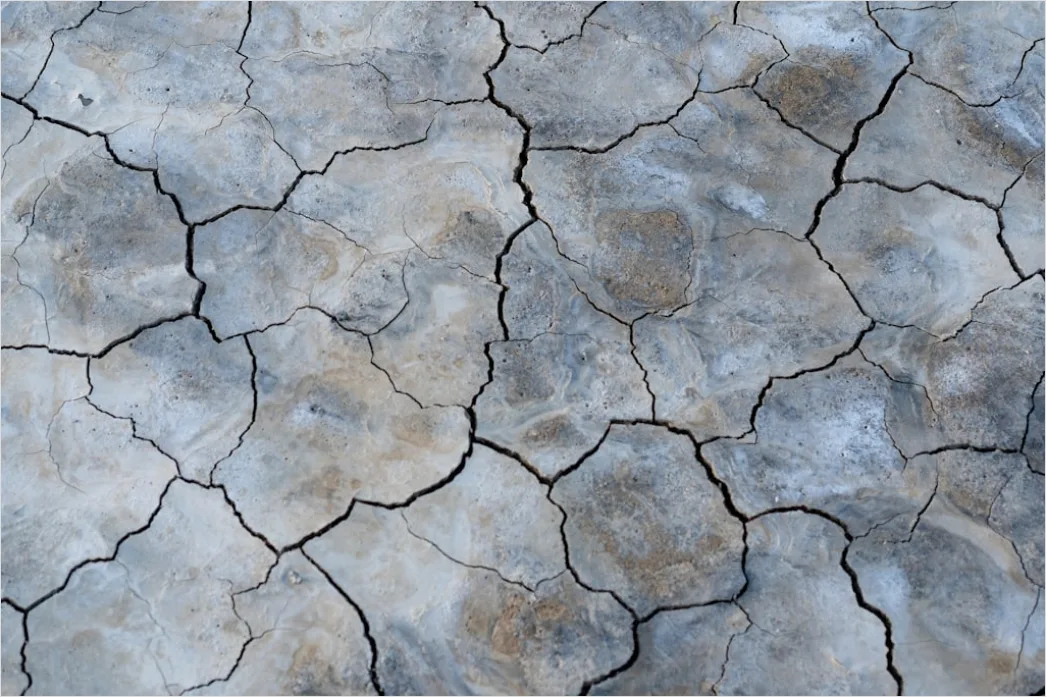 Detail Sun Baked Cracked Earth Drought Number 20