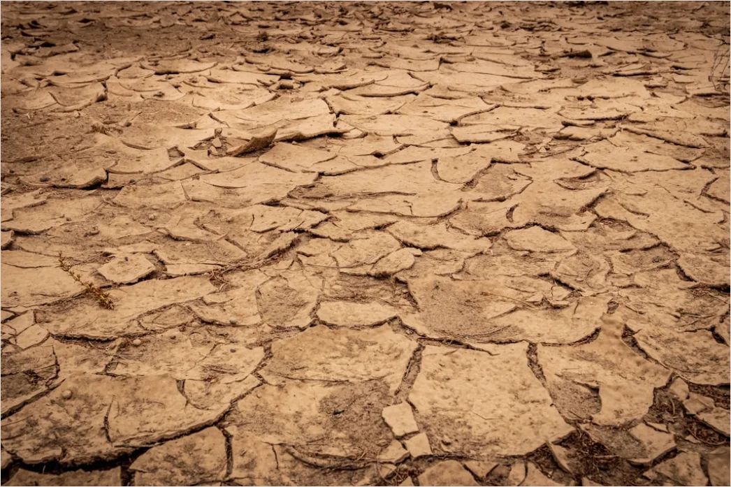 Detail Sun Baked Cracked Earth Drought Number 6