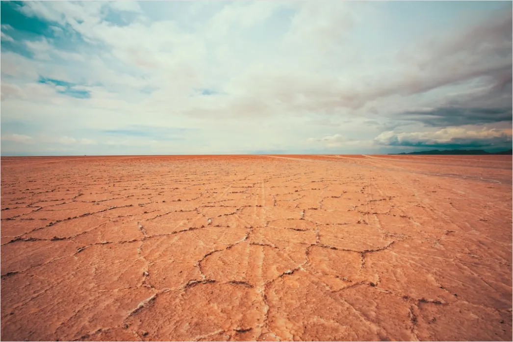 Detail Sun Baked Cracked Earth Drought Number 8