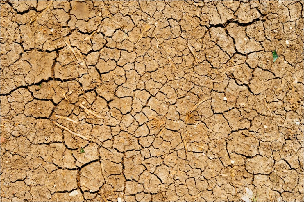 Detail Sun Baked Cracked Earth Drought Number 9