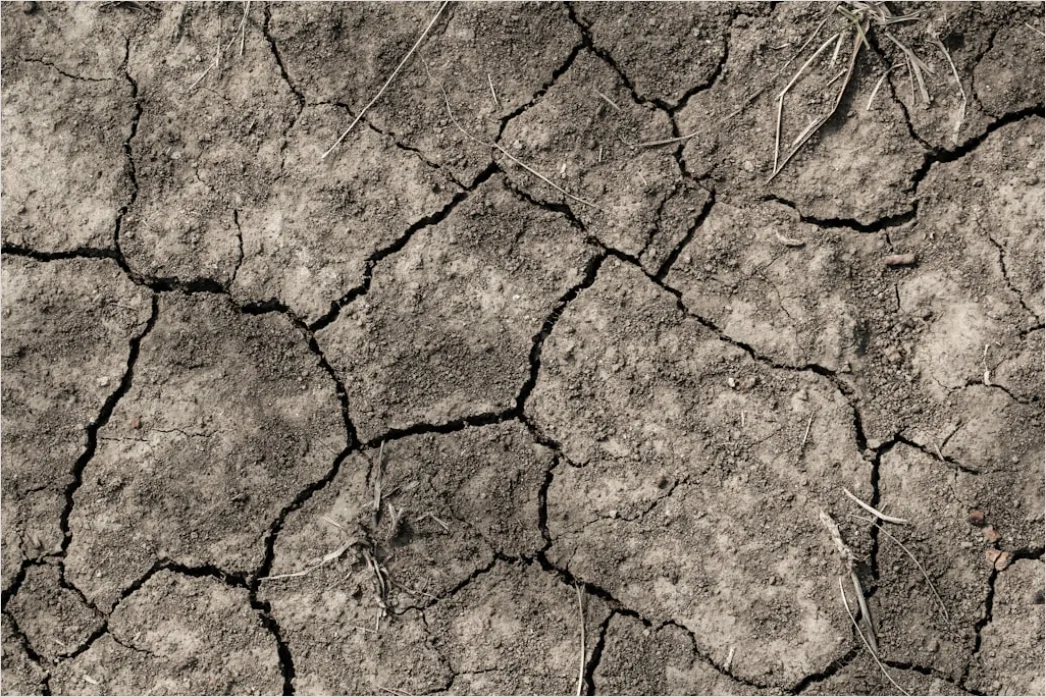 Detail Sun Baked Cracked Earth Drought Number 10