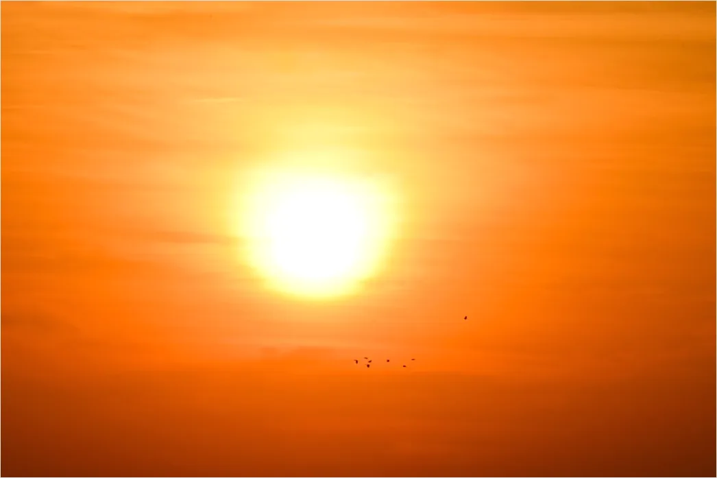 Detail Sun Beating Down Heat Concept Number 9