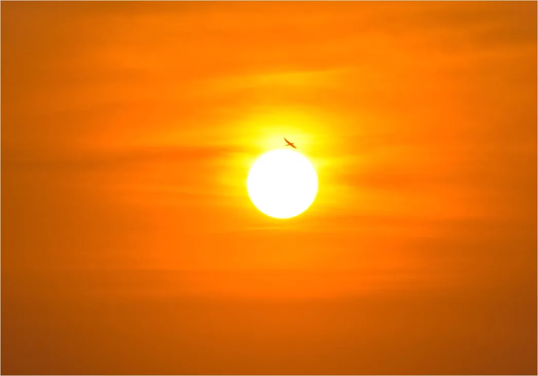 Detail Sun Beating Down Heat Concept Number 10