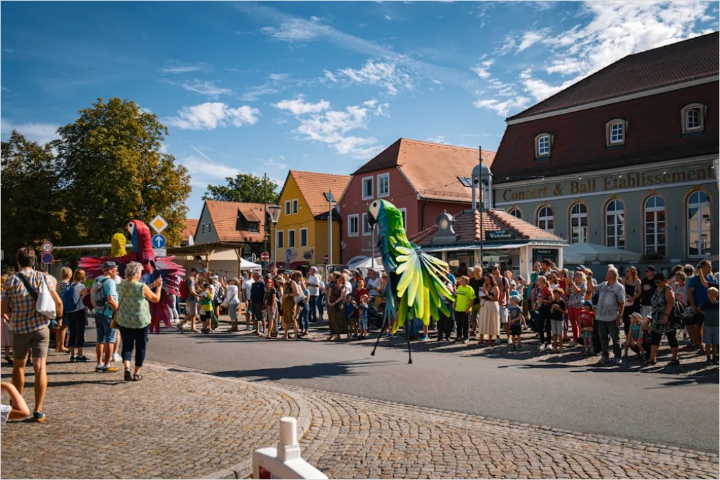 Detail Traditional Festival Parade Street Scene Number 13