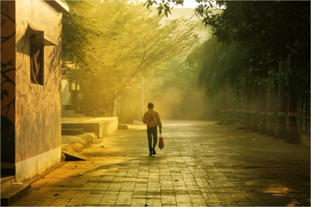 Detail Travel Portrait Golden Hour Street Number 14