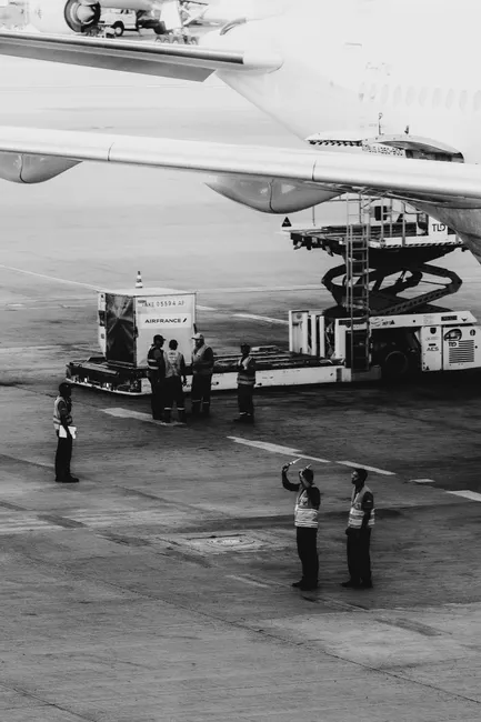 Detail Tsa Security Line Airport Scene Number 14